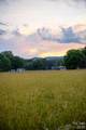 1327 Hwy 268 Highway - Photo 43