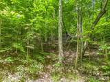 00 Chipmonk Trail - Photo 5