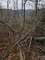 1480 Davis Mountain Road - Photo 19