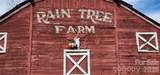 Lot 8 Raintree Farm Lane - Photo 3