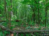 9999 Lovebird Lane - Photo 4