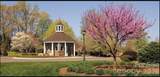 3675 Rock Bridge Drive - Photo 39