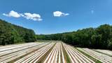 99999 Tryon Road - Photo 12