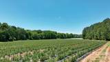 99999 Tryon Road - Photo 15