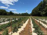 99999 Tryon Road - Photo 20