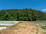 99999 Tryon Road - Photo 5