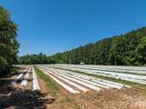 99999 Tryon Road - Photo 6