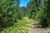 99999 Thompson Lake Road - Photo 14