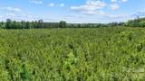 0000 Cool Branch Road - Photo 23