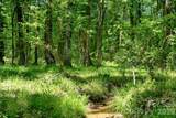 0000 Cool Branch Road - Photo 27