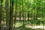 0000 Cool Branch Road - Photo 35