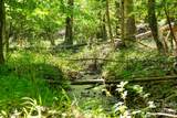 0000 Cool Branch Road - Photo 39