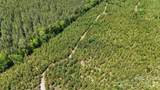 0000 Cool Branch Road - Photo 45
