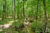 0000 Cool Branch Road - Photo 10