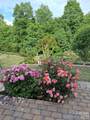 5201 Cressingham Drive - Photo 32