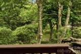 276 Four Diamond Drive - Photo 35