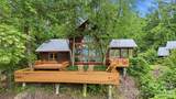 11150 Highway 19W Highway - Photo 7