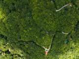 00 Bent Tree Road - Photo 8