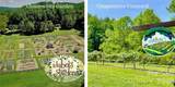 1167 Johns Ridge Parkway - Photo 47
