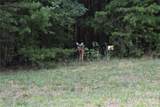 145 Badin View Drive - Photo 22