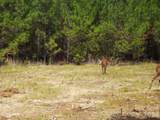 14840 Short Cut Road - Photo 3