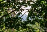 8 Sugarland Ridge Road - Photo 28