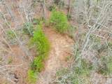TBD Deep Woods Lane - Photo 7