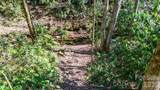 3548 Dicks Creek Road - Photo 15
