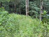 Lot 5 Gadohi Trail - Photo 5