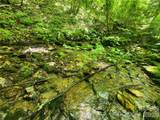 789 Jarrett Cove Road - Photo 34
