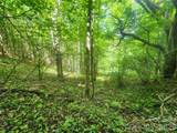 789 Jarrett Cove Road - Photo 40