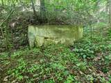 789 Jarrett Cove Road - Photo 42