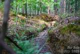 6917 Walnut Grove Church Road - Photo 22