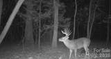 6917 Walnut Grove Church Road - Photo 42