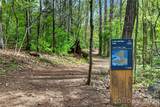 6405 Alba Rose Lane - Photo 47