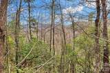 230 Catawba Falls Parkway - Photo 15