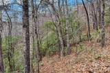 230 Catawba Falls Parkway - Photo 19