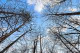 230 Catawba Falls Parkway - Photo 8