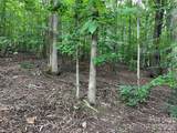 V/L Moore Branch Drive - Photo 11