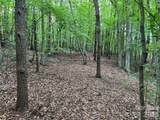 V/L Moore Branch Drive - Photo 12