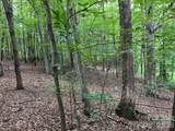 V/L Moore Branch Drive - Photo 13