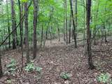 V/L Moore Branch Drive - Photo 14