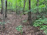 V/L Moore Branch Drive - Photo 15