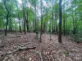 V/L Moore Branch Drive - Photo 4