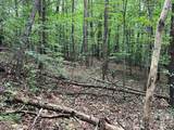 V/L Moore Branch Drive - Photo 5