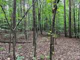 V/L Moore Branch Drive - Photo 6