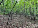 V/L Moore Branch Drive - Photo 7