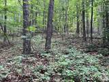 V/L Moore Branch Drive - Photo 8