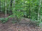 V/L Moore Branch Drive - Photo 10