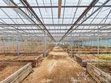 961 Wilson Branch Road - Photo 30